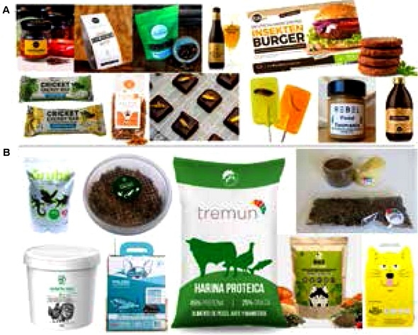 Insectos: son realmente una alternativa para la alimentación de animales y humanos - Image 1