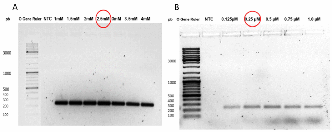 Desarrollo de una plataforma molecular para la detección y cuantificación del virus vacunal de Newcastle - Image 7