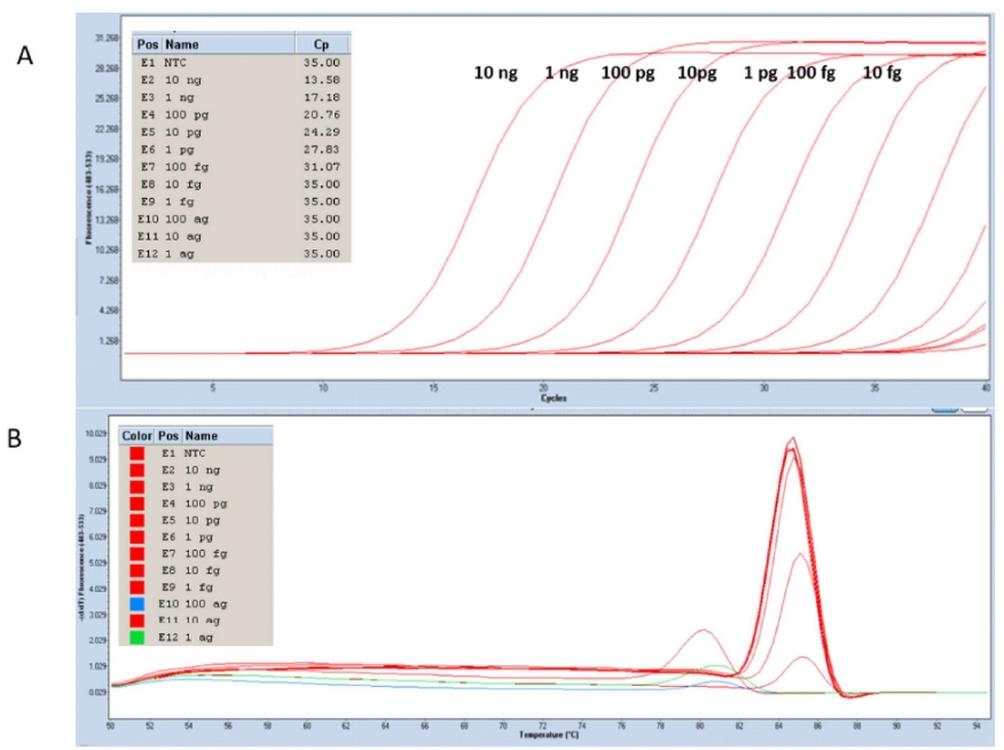 Desarrollo de una plataforma molecular para la detección y cuantificación del virus vacunal de Newcastle - Image 10
