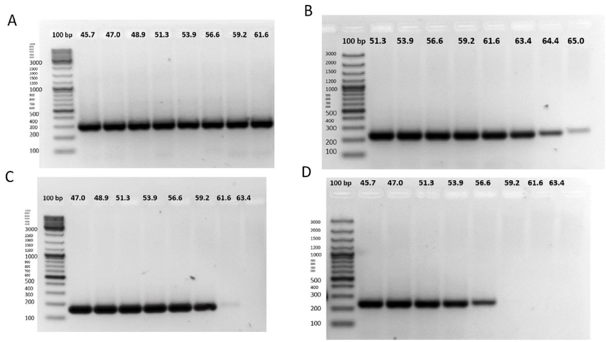 Desarrollo de una plataforma molecular para la detección y cuantificación del virus vacunal de Newcastle - Image 5