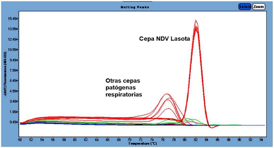 Desarrollo de una plataforma molecular para la detección y cuantificación del virus vacunal de Newcastle - Image 12