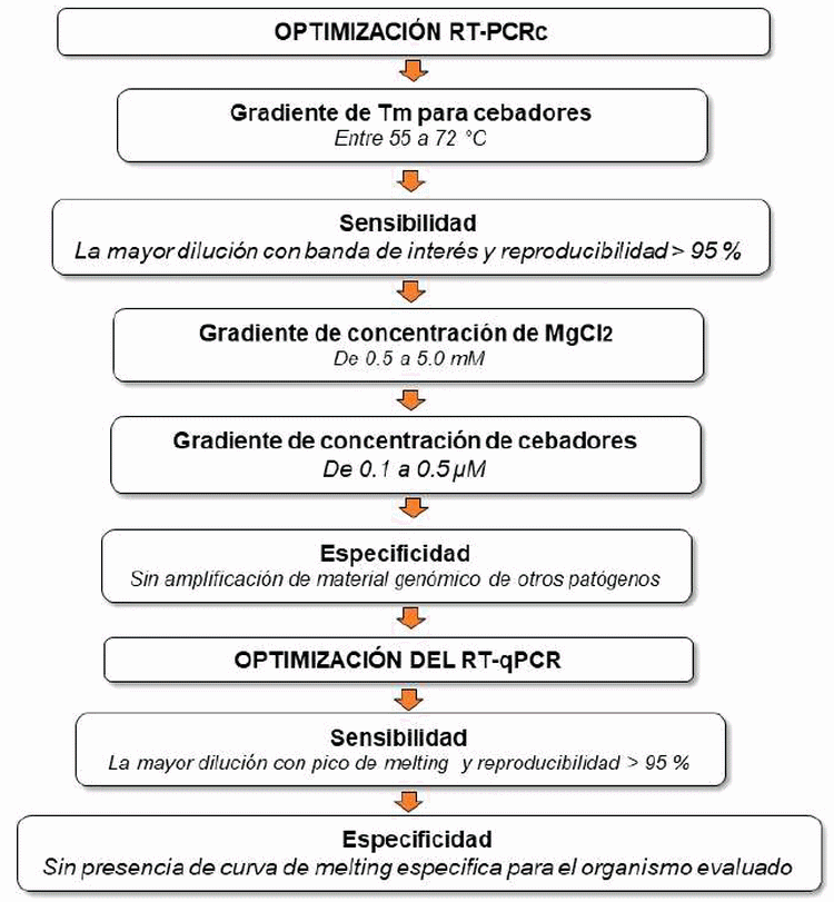 Desarrollo de una plataforma molecular para la detección y cuantificación del virus vacunal de Newcastle - Image 4