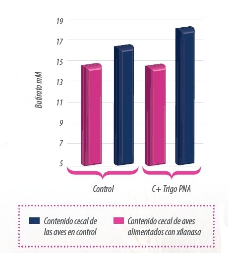 Fibra y microbiota ¿es posible acelerar la fermentación? - Image 1