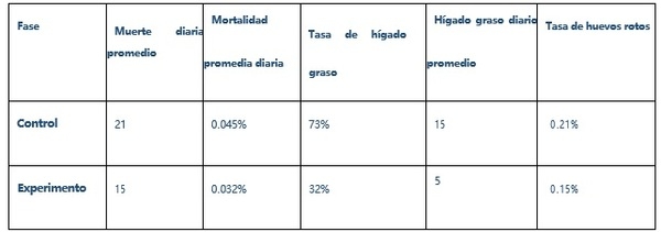 La principal razón de la mortalidad de las gallinas ponedoras y sus soluciones - Image 6