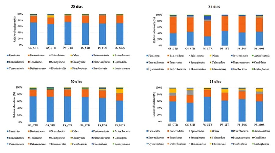El uso de Estimbióticos y su relación con el rendimiento de los Cerdos - Image 3