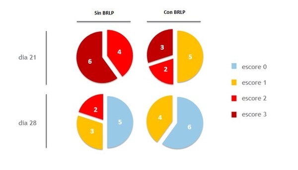 Reducción del uso de antibióticos: ¿cuál es el papel del butirato como aditivo alternativo? - Image 2