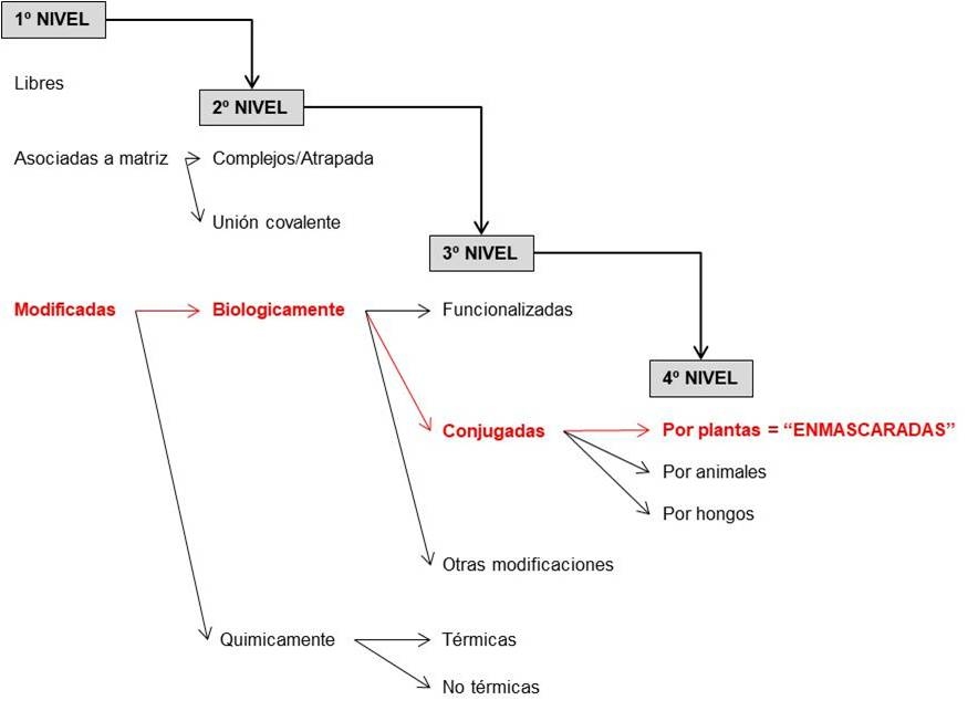 Micotoxinas 