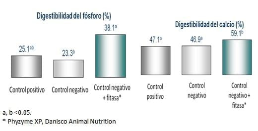 Aumentando la longevidad de las cerdas - Un enfoque nutricional - Image 4