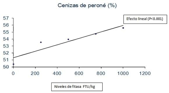 Aumentando la longevidad de las cerdas - Un enfoque nutricional - Image 2