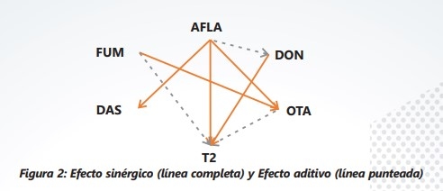 Conceptos básicos de las micotoxicosis y sus mecanismos de control - Image 7