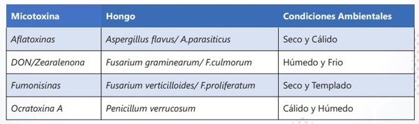 Conceptos básicos de las micotoxicosis y sus mecanismos de control - Image 2