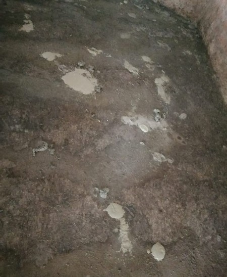 Estudios de casos de Diarrea Endemica Porcina (PED) por coranovirus y su solución con el uso de la ivermectina - Image 16