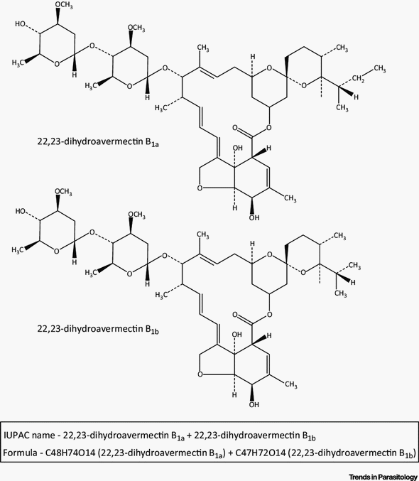 Estudios de casos de Diarrea Endemica Porcina (PED) por coranovirus y su solución con el uso de la ivermectina - Image 6