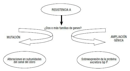 Resistencia a los antihelmínticos: origen, desarrollo y control - Image 6