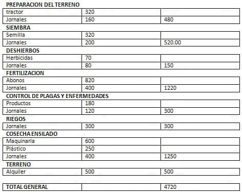 Ensilaje de maiz para la alimentación del ganado lechero - Image 5