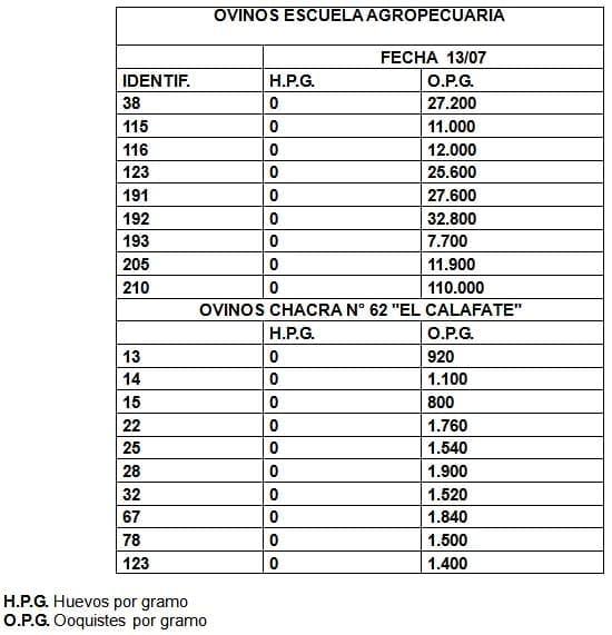 EIMERIA MACUSANIENSIS EN OVINOS DE LA ZONA DE GOBERNADOR GREGORES, SANTA CRUZ, ARGENTINA. - Image 10
