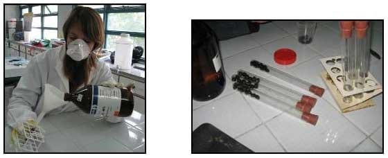 EIMERIA MACUSANIENSIS EN OVINOS DE LA ZONA DE GOBERNADOR GREGORES, SANTA CRUZ, ARGENTINA. - Image 7