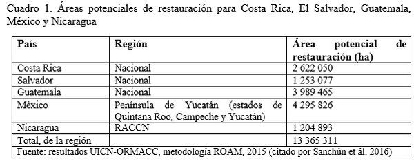 Restauración funcional de la ecología de paisajes: una revisión reflexiva - Image 1
