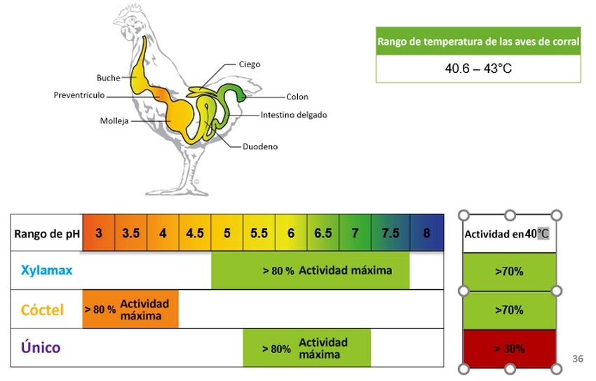 Propiedades de pH y temperatura de Xylamax - Image 1