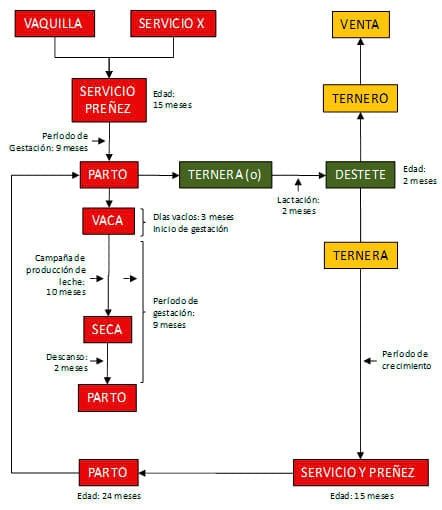 Manual de manejo y alimentación de vacunos - Parte I: Recría de animales de reemplazo en sistemas intensivos - Image 1