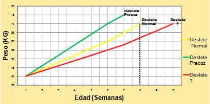 Manual de manejo y alimentación de vacunos - Parte I: Recría de animales de reemplazo en sistemas intensivos - Image 20