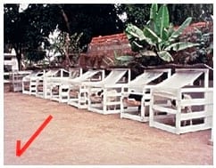 Manual de manejo y alimentación de vacunos - Parte I: Recría de animales de reemplazo en sistemas intensivos - Image 7