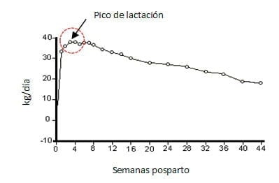 Manual de manejo y de alimentación de vacunos II: Manejo y Alimentación de vacas productoras de leche en sistemas intensivos - Image 7