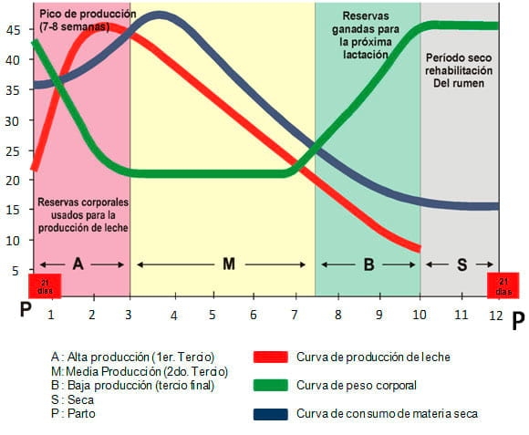 Manual de manejo y de alimentación de vacunos II: Manejo y Alimentación de vacas productoras de leche en sistemas intensivos - Image 27