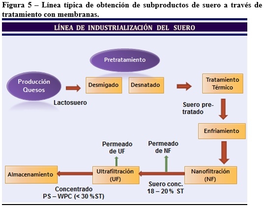 Situación del suero de quesería en la Argentina y alternativas de su revalorización - Image 8