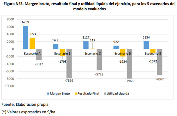 EVALUACIÓN DE ALTERNATIVAS DE MANEJO GANADERO EN ESCENARIOS DE SEQUÍA SEVERA EN BAHÍA BLANCA - Image 3