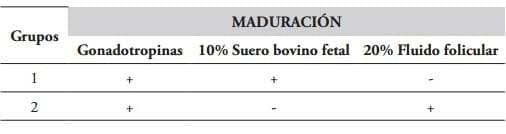 Efecto de los suplementos fluido folicular y suero fetal bovino sobre la maduración in vitro de oocitos equinos - Image 5