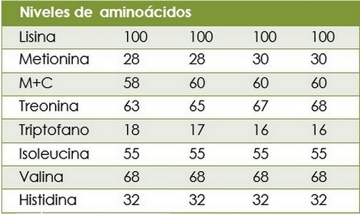 Manejo y nutrición de las cerdas de reemplazo - Image 3