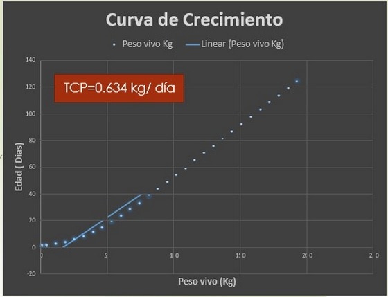 Manejo y nutrición de las cerdas de reemplazo - Image 3