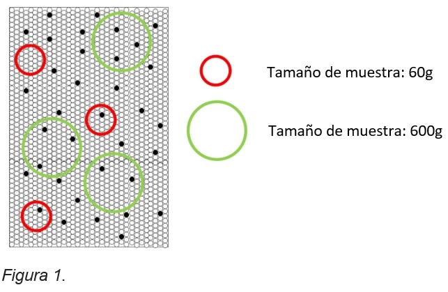 Medición del tamaño de partículas en línea - Image 1