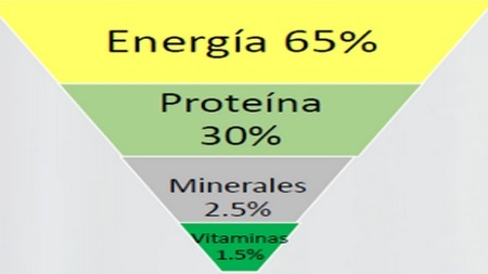 Los requerimientos nutricionales de las aves dependen de varios factores - Image 27
