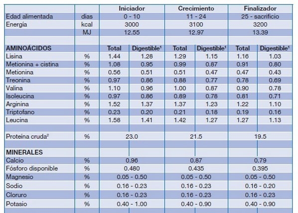 Los requerimientos nutricionales de las aves dependen de varios factores - Image 14