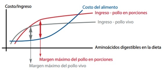 Los requerimientos nutricionales de las aves dependen de varios factores - Image 3