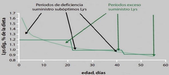 Los requerimientos nutricionales de las aves dependen de varios factores - Image 7