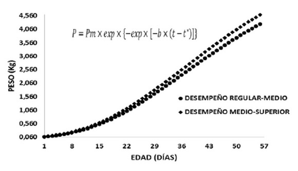 Los requerimientos nutricionales de las aves dependen de varios factores - Image 18