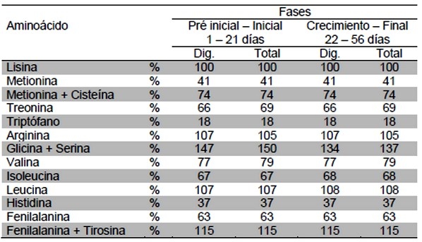 Los requerimientos nutricionales de las aves dependen de varios factores - Image 25