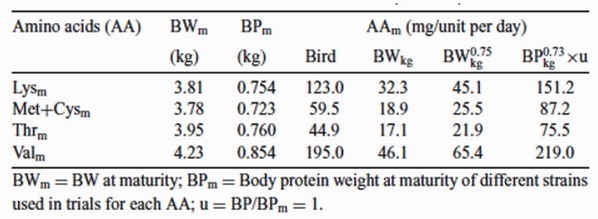 Los requerimientos nutricionales de las aves dependen de varios factores - Image 5