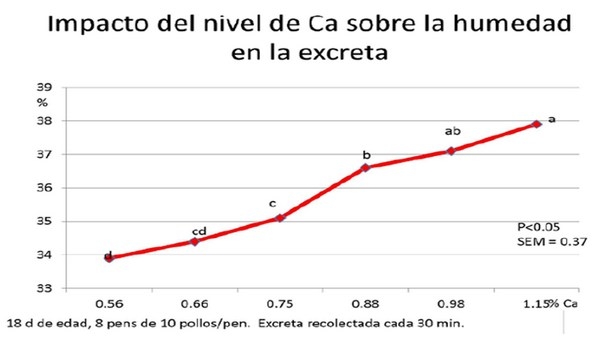 Los requerimientos nutricionales de las aves dependen de varios factores - Image 37