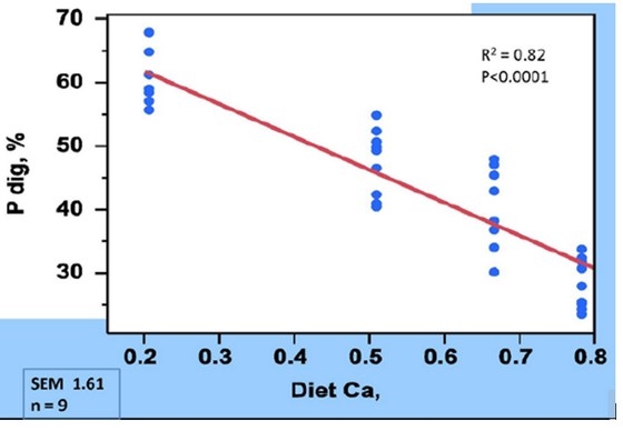 Los requerimientos nutricionales de las aves dependen de varios factores - Image 35