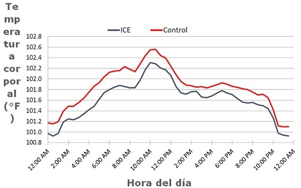 I.C.E.® Una tecnología innovadora desarrollada para combatir los efectos negativos del estrés calórico - Image 2