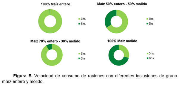 RESULTADOS OBTENIDOS EN CINCO AÑOS DE EVALUACIÓN DE NITRUM 24 EN EXPERIENCIAS DE INVESTIGACIÓN Y PREDIOS COMERCIALES - Image 13