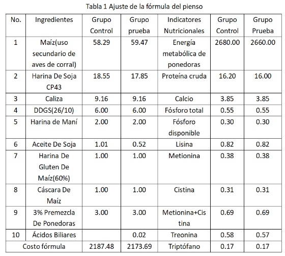 Reducir el costo de alimentación de ponedoras: la aplicación de ácidos biliares en la alimentación de ponedoras - Image 1