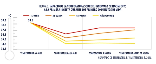 Secado de lechones al nacimiento: Una intervención para reducir el riesgo de mortalidad predestete - Image 3
