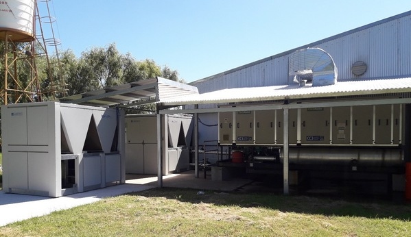 Avicola Santa Barbara – Nueva Planta de Incubación - Image 11