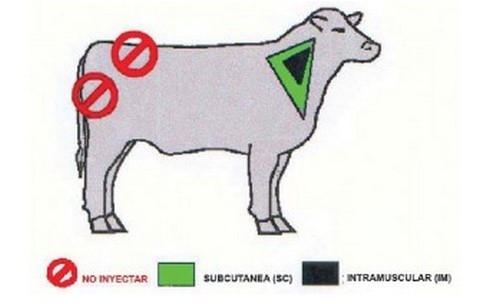 La velocidad no es sinónimo de eficiencia - Image 3