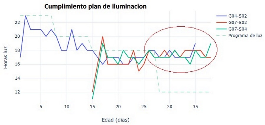 Factores medioambientales: recomendaciones para la productividad en ponedoras - Image 1